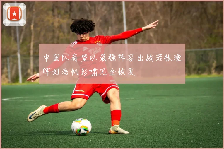 中国队有望以最强阵容出战若张瑷晖刘浩帆彭啸完全恢复