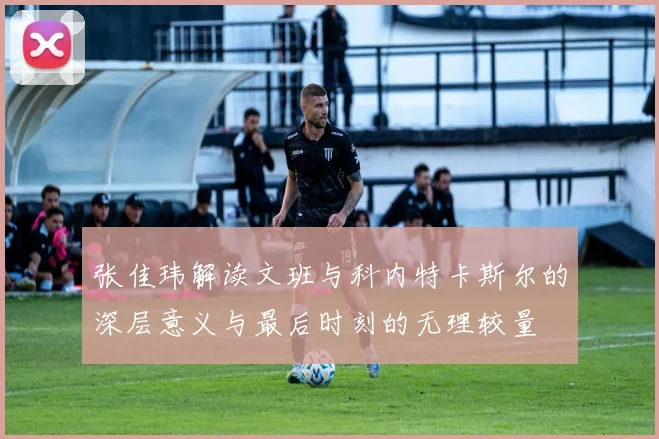 张佳玮解读文班与科内特卡斯尔的深层意义与最后时刻的无理较量
