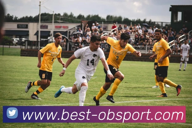 OB体育平台生态图