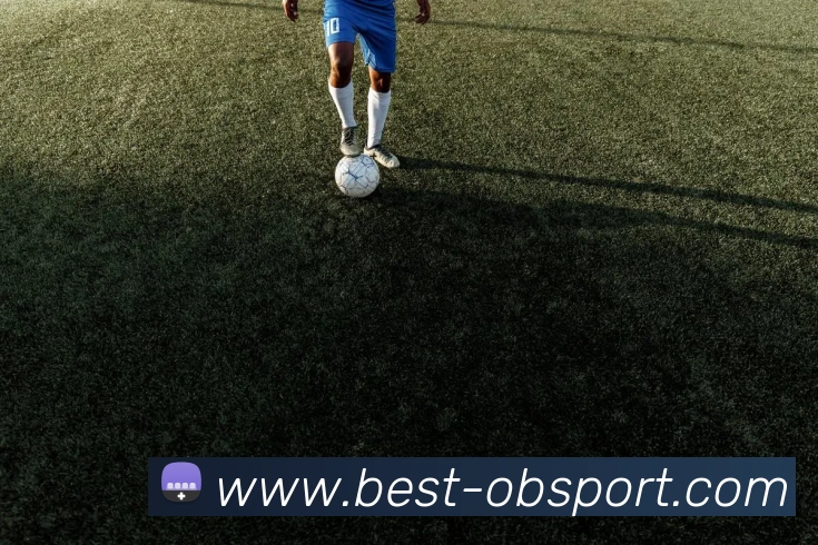 OB体育APP 封面图